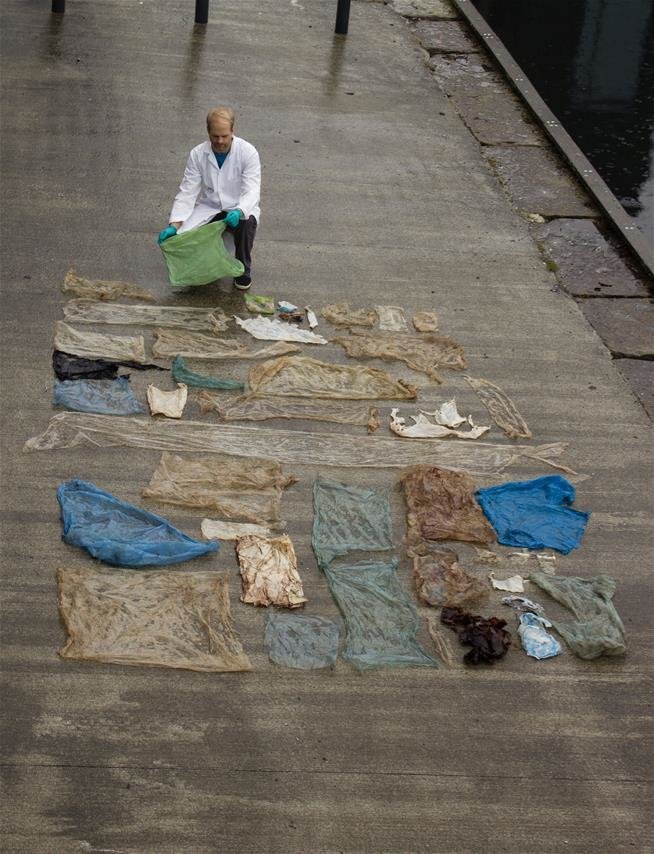 Beached Whale Found With 30 Plastic Bags Crammed In Its Belly | HuffPost