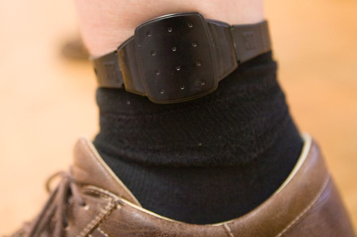 Police have arrested 14 people amid claims security workers were paid by convicts to deliberately fit electronic ankle tags loosely (file image)