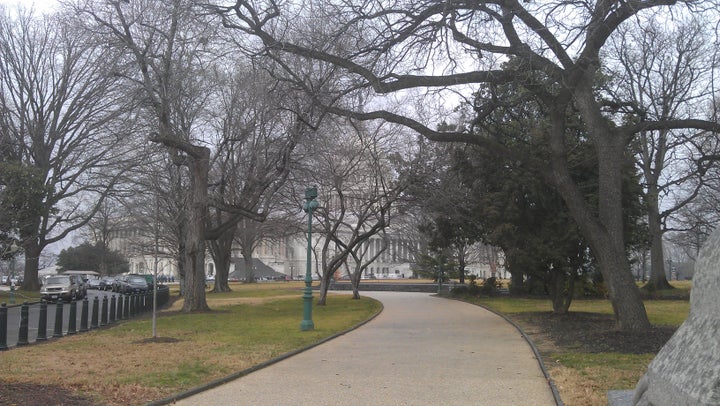 <p>My walk to the plaza in front of the US Capitol (2012)</p>
