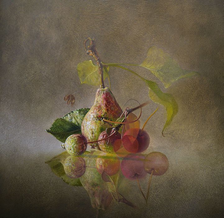 Transitory Spaces: Pear, Apples & Cherries | Oil on panel - 12” x 12” 2016