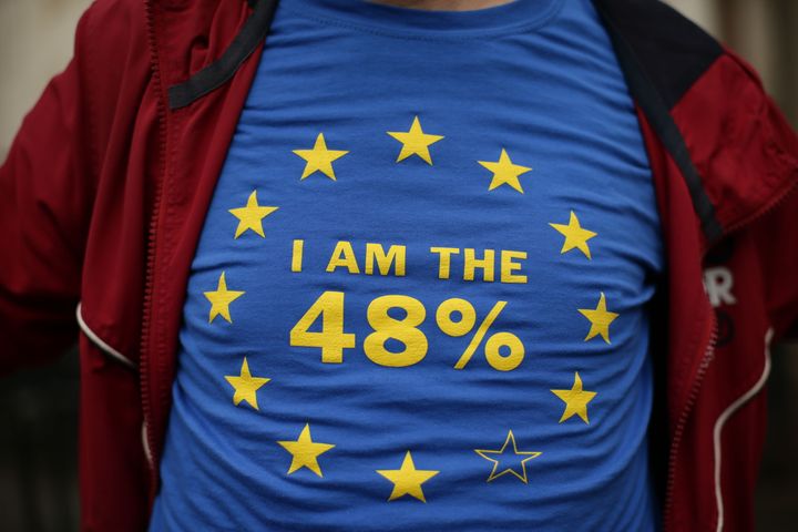A Remain protestor outside the High Court last year