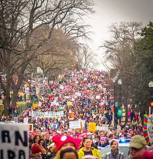 <em>By Ted Eytan from Washington, DC, USA (2017.01.21 Women’s March Washington, DC USA 00095) [</em><a rel="nofollow" href="h