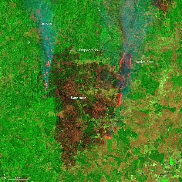 <p>Wildfires razed forests in Chile</p>