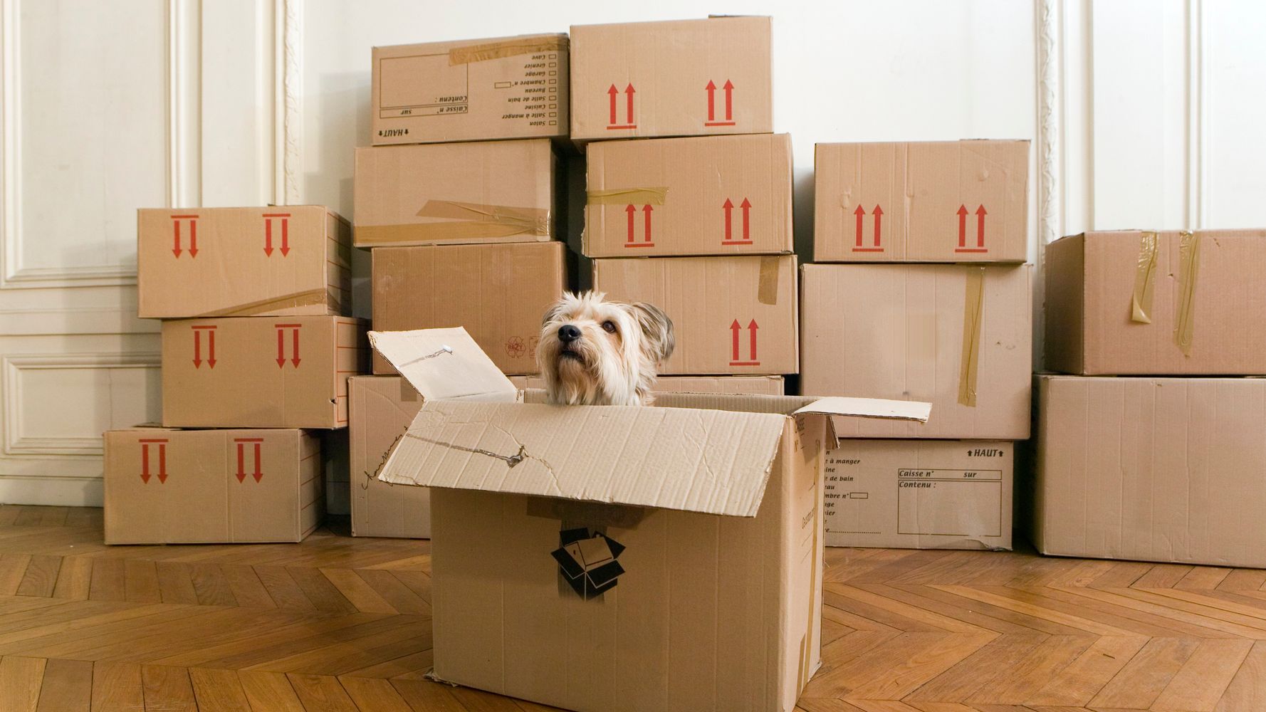 We Found A Cheap Way To Move Your Stuff Across The Country
