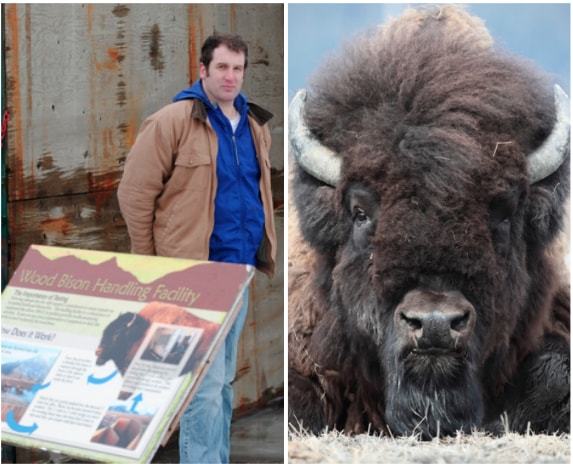 Dr. Jordan Carlton Schaul, Alaska Wildlife Conservation Center (Photos by Doug Lindstrand)