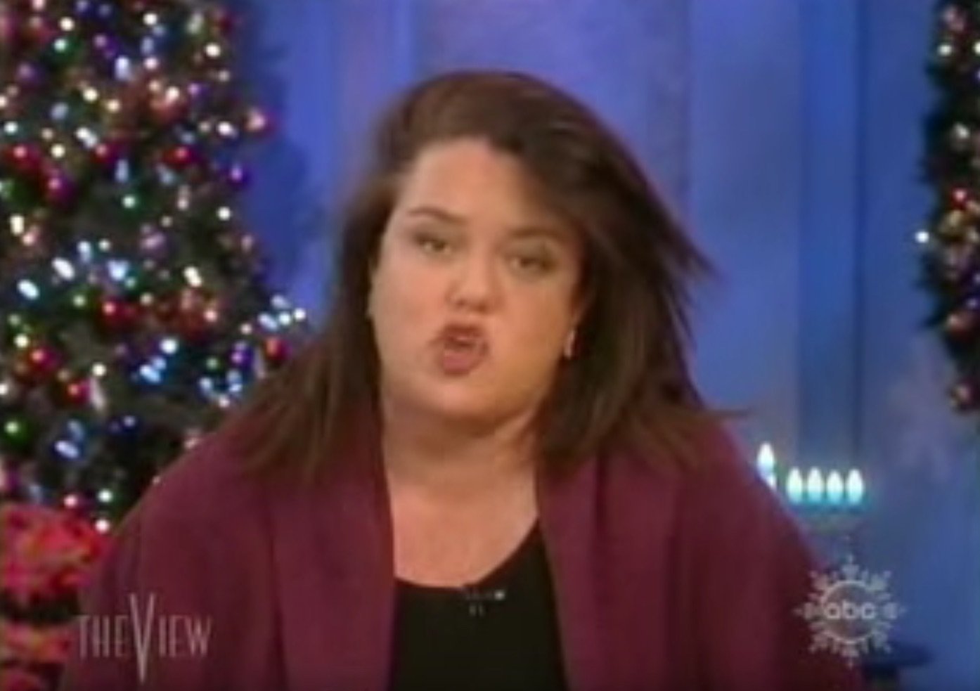 Could Rosie O'Donnell Play Donald Trump Or Steve Bannon On 'SNL ...