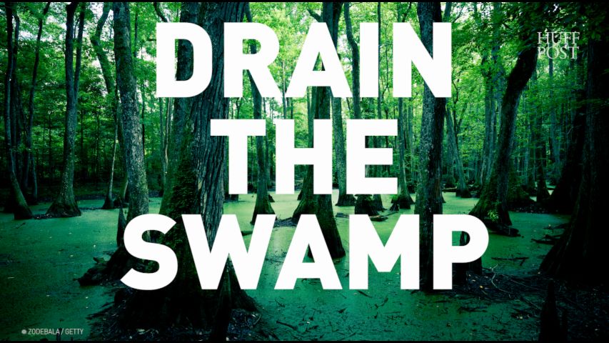 So How Is Draining The Swamp Going HuffPost Null   589a2f9725000034080b78a4 