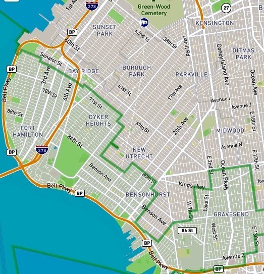 NY Congressional District 11 includes all of Staten Island and these sections of Brooklyn.