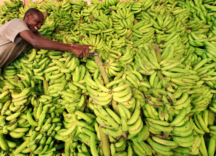 A vendor displays bananas at his stall in Somalia.