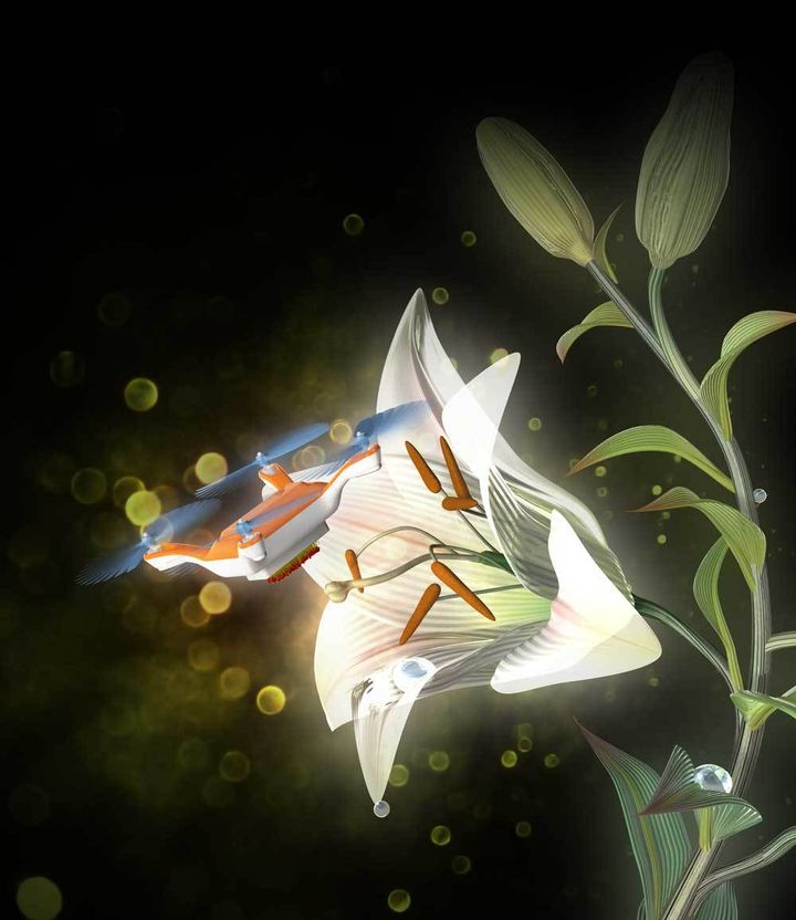 <p>A radio-controlled flying robot equipped with animal hairs coated with a liquid gel pollinates a flower. </p>