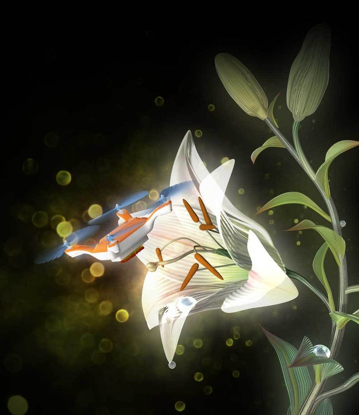 A radio-controlled flying robot equipped with animal hairs coated with a liquid gel pollinates a flower. 