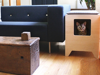 Curio 2025 litter box