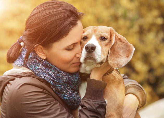 Do Dogs Really Know Their Owners