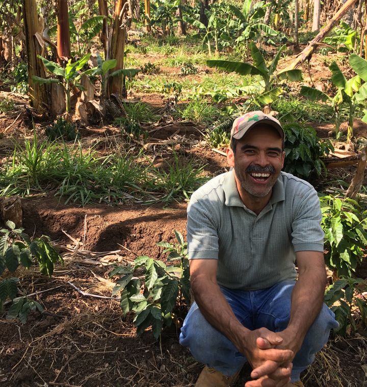 A farmer on a newly planted coffee plantation that employed remediation techniques to guard against the impacts of worsening drought conditions. El Bosque, Guatemala.