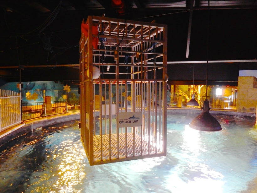 Long Island Aquarium, Riverhead NY A Must See Stop On the Way to the