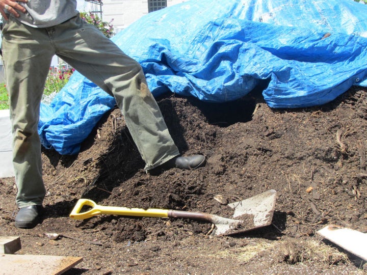 Participating in community gardens and park clean ups is a form of participating in civil society. 