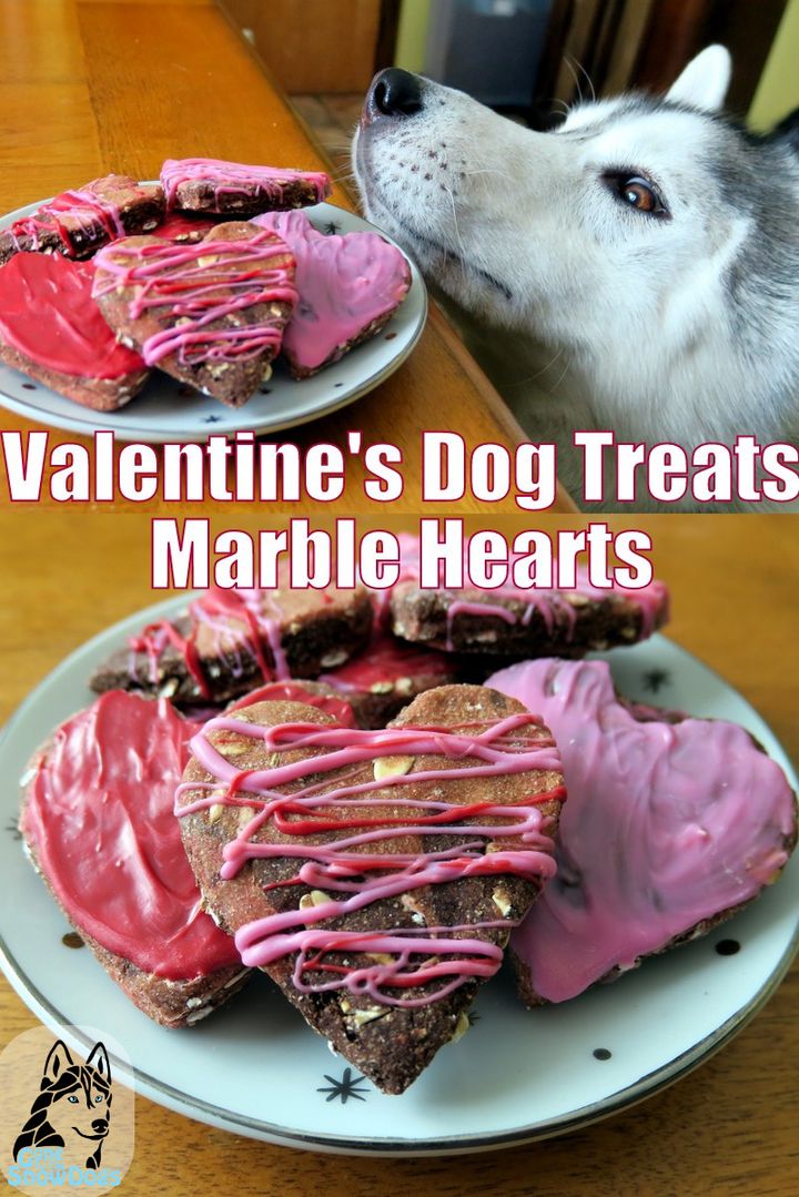DIY Valentine’s Dog Treats!