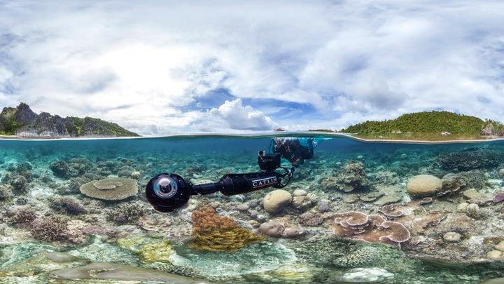 <p>A scene from "Chasing Coral."</p>