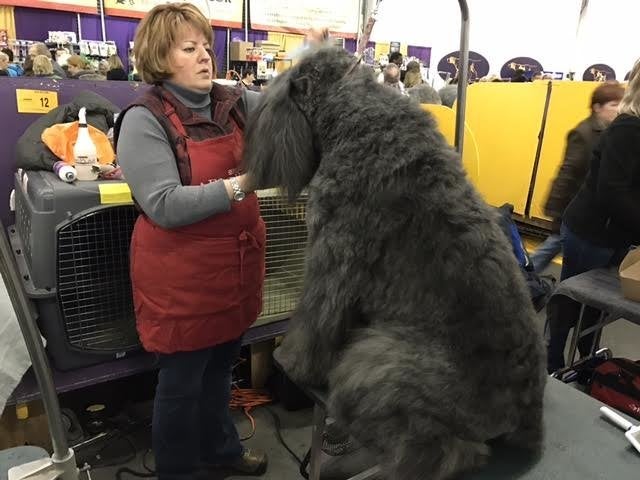 The brushing and combing seemed unending for Jagger.