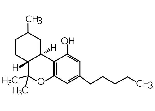 The Delta-9 Tetrahydrocannabinol (THC) molecule