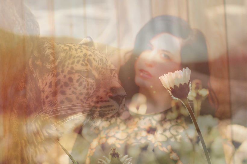 By Christine Stoddard for Quail Bell Magazine.