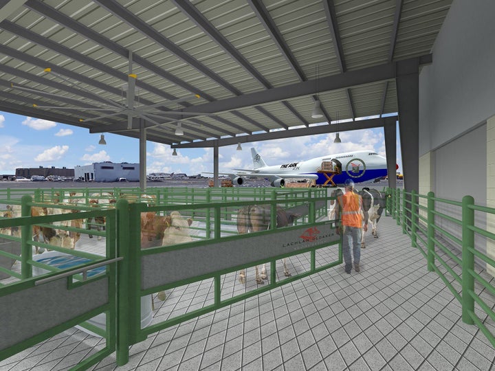 The Equine and Livestock Center has direct access to planes, allowing cows and horses a smooth boarding process.