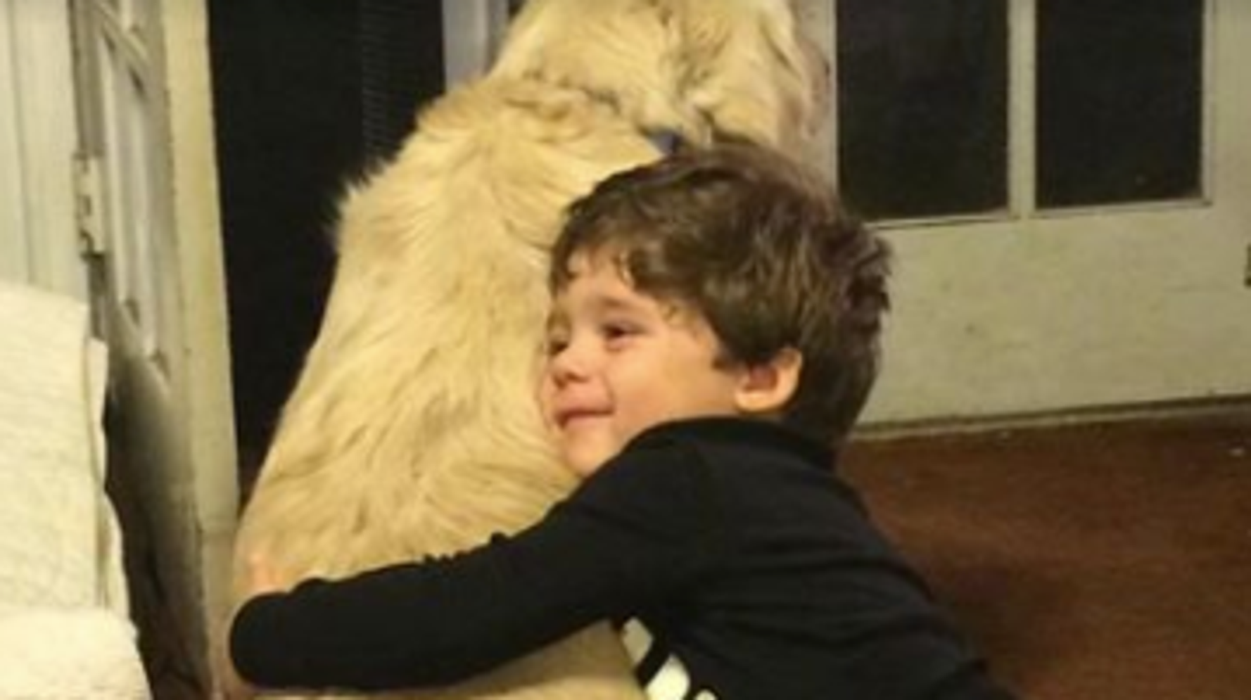 Boy With Autism Forms Bond With Abused Rescue Dog, As They Teach Each ...