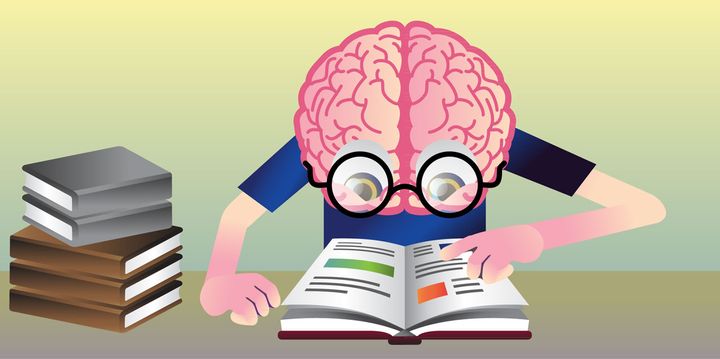 Kid friendly graphics. This is an example image from an article about 'The reading brain.' All graphics in FYM articles are fun, kid friendly, and professionally done. Image source: Kassuba and Kastner (2015).