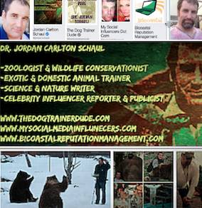 <p><a href="http://www.facebook.com/jordan.schaul" target="_blank" role="link" rel="nofollow" class=" js-entry-link cet-external-link" data-vars-item-name="Dr. Jordan Carlton Schaul" data-vars-item-type="text" data-vars-unit-name="58a498b4e4b080bf74f04357" data-vars-unit-type="buzz_body" data-vars-target-content-id="http://www.facebook.com/jordan.schaul" data-vars-target-content-type="url" data-vars-type="web_external_link" data-vars-subunit-name="article_body" data-vars-subunit-type="component" data-vars-position-in-subunit="11">Dr. Jordan Carlton Schaul</a></p>
