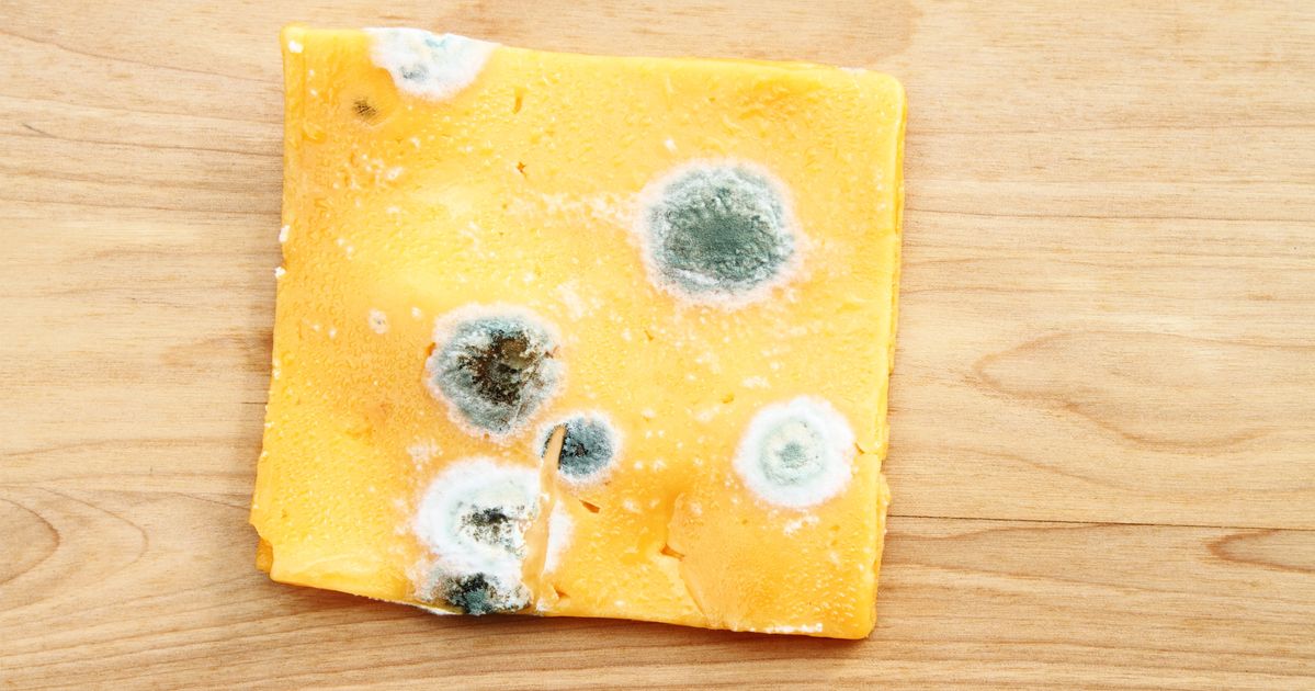 How To Tell Which Foods Are Safe To Eat When They're Moldy
