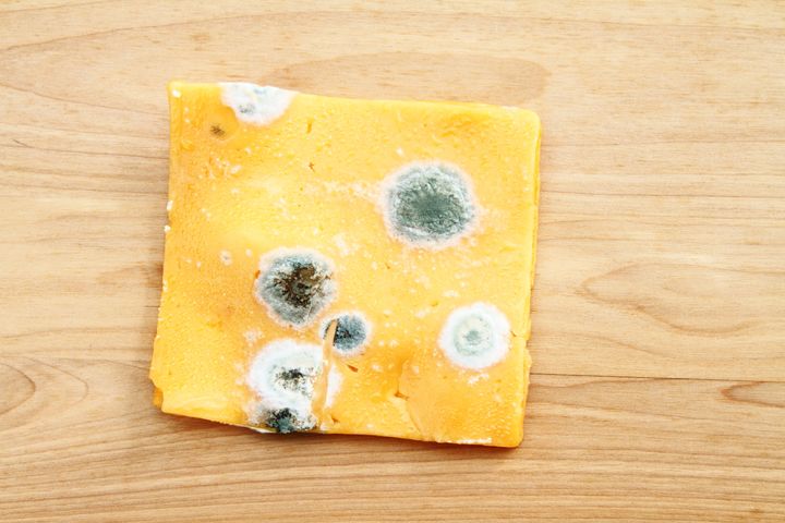 Bread Mold, Cheese Mold, And 5 Other Food Safety Questions Answered