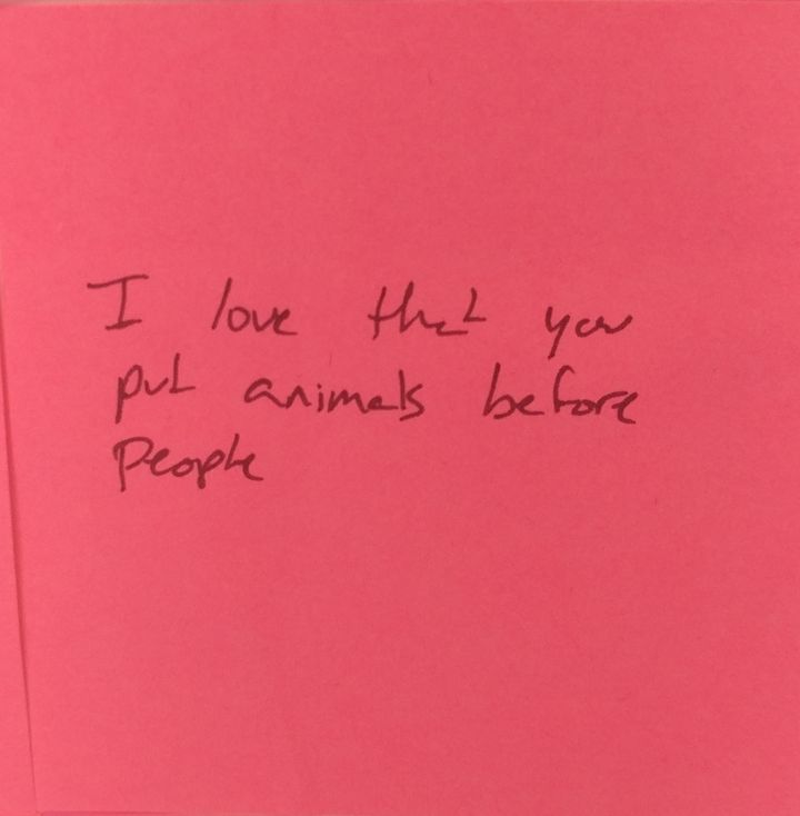 "I love that you put animals before people."