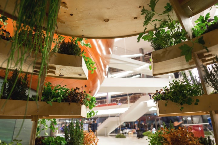 The garden's "slices" are designed so that water and light reaches each level.