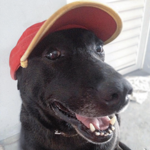 Negão sporting his gas station hat.