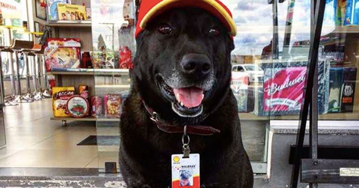 Proud Labrador Retriever Profile Dog Lab Mom Baseball Cap Men Dad