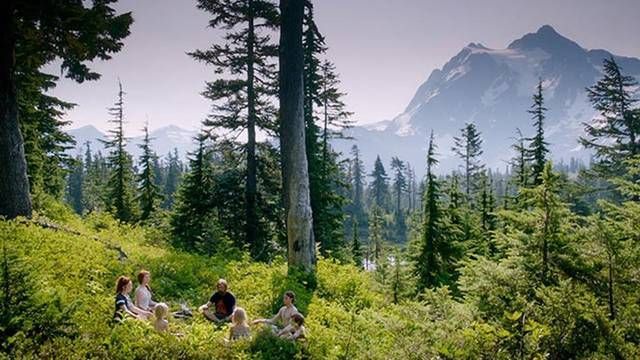 Viggo Mortenson and his children meditate in North Cascades National Park in Captain Fantastic