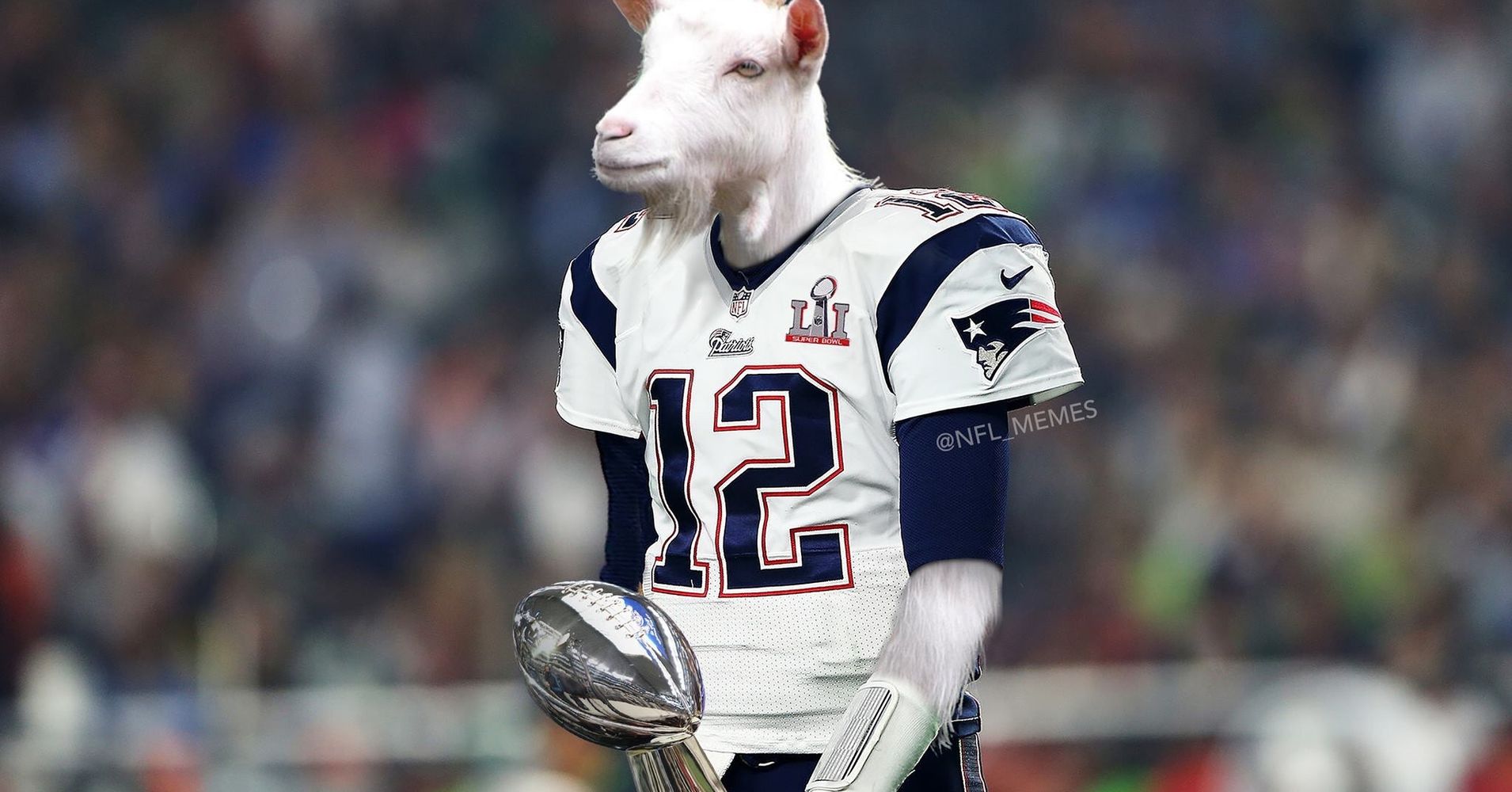 the-year-of-the-goat-and-the-g-o-a-t-huffpost