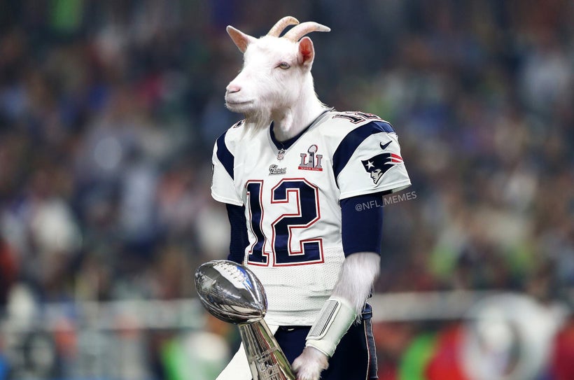 the-year-of-the-goat-and-the-g-o-a-t-huffpost