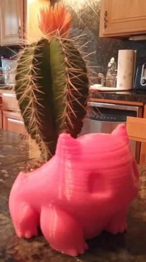 A 3-D printed fan-art Pokemon Bulbasaur planter filled with a small cactus.
