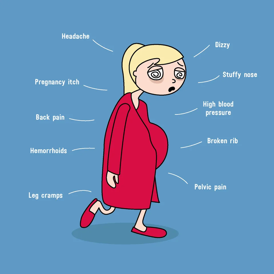 11 Cartoons About Those Pregnancy Struggles You Don't Really Hear