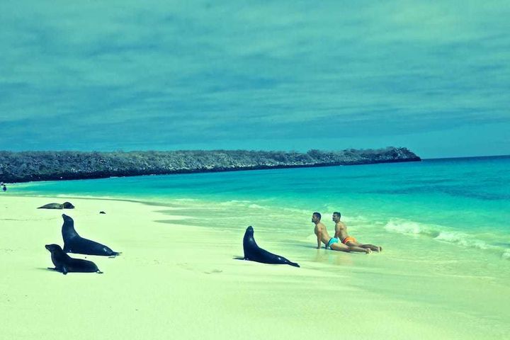 Morning yoga with the Galapagos sea lions on Española Island