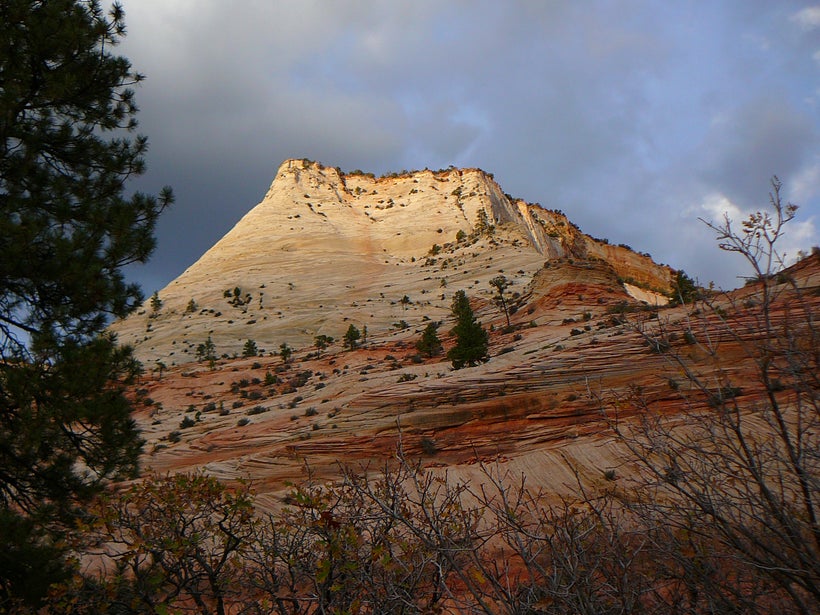 Magnificent colors at Zion National Park, Utah.