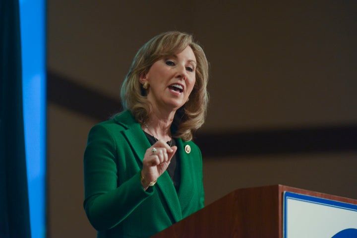 Virginia Rep. Barbara Comstock's constituents have questions for her about Obamacare. Some have been tough -- others, not so much.