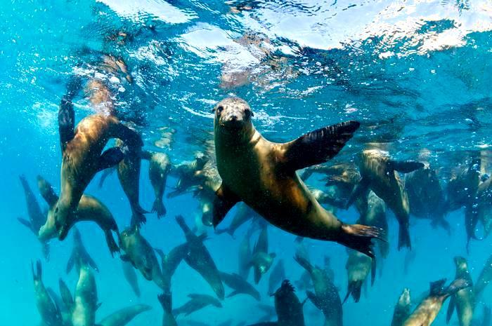  The Galapagos Islands 