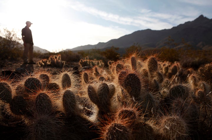 The sunset lights up Fenner Basin, half of which lies in the Mojave National Preserve. Environmentalists are concerned about