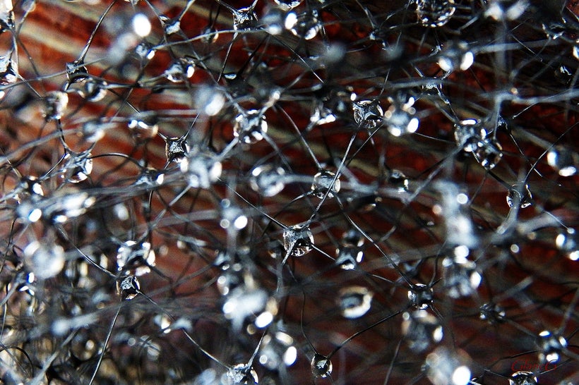 Complexity