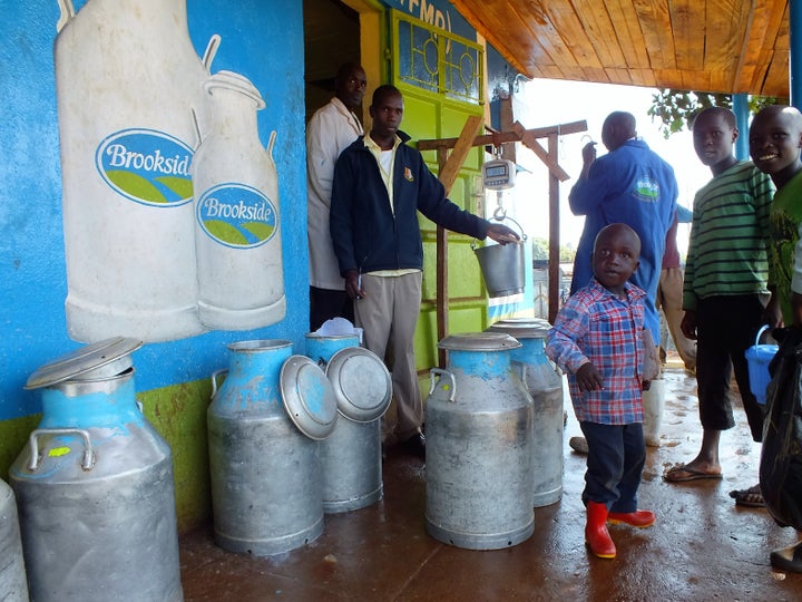 <p>Children bring milk from their parents’ farms to the Kaptama Farmers’ Cooperative </p>