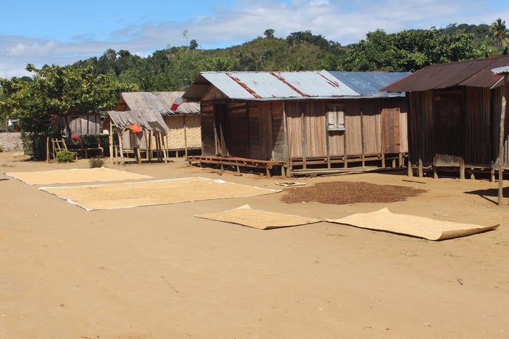 Typical Mandena houses -- like these photographed by researcher David Samson in 2015 -- have bamboo walls and tin or thatched roofs.