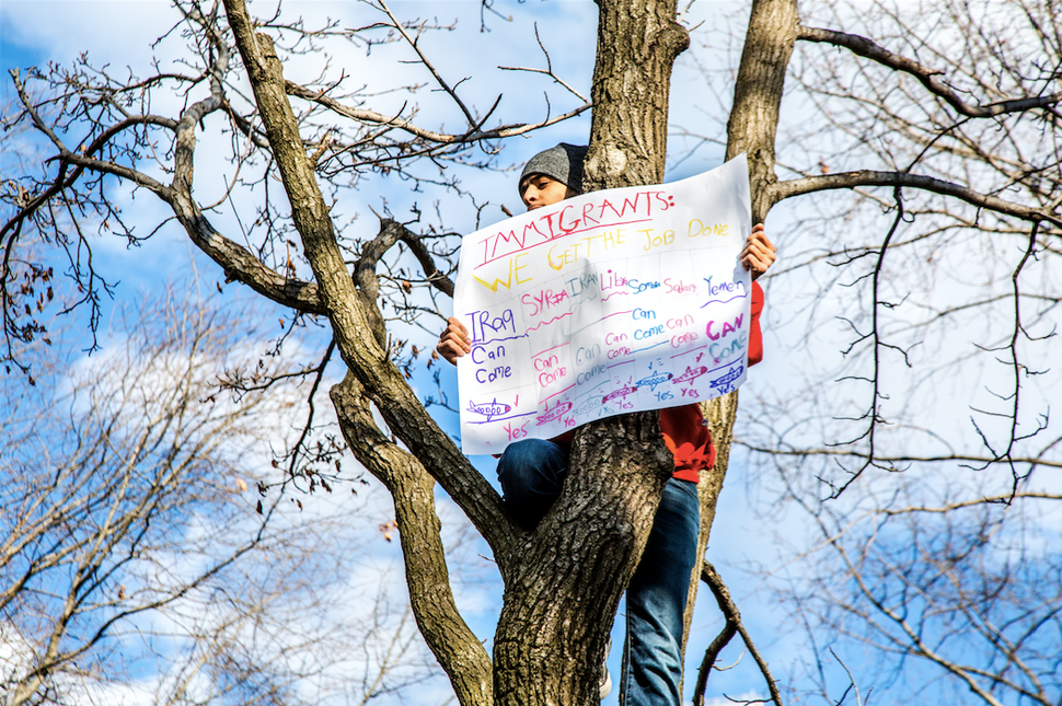 Rally for immigrant rights at Battery Park, NYC, Jan. 29