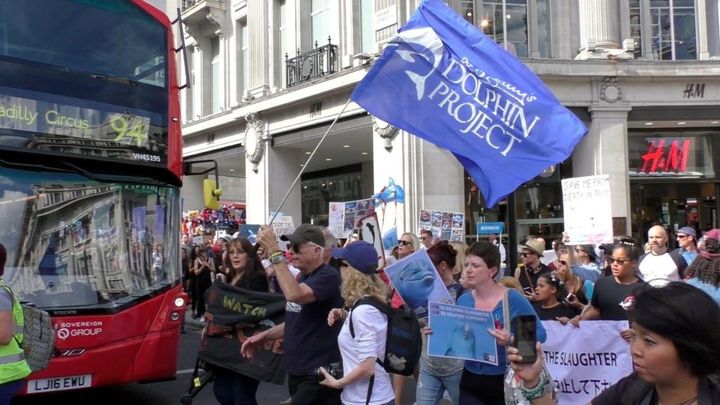 <p>Ric O’Barry and thousands of protesters descend on London during Japan Dolphins Day 2016</p>